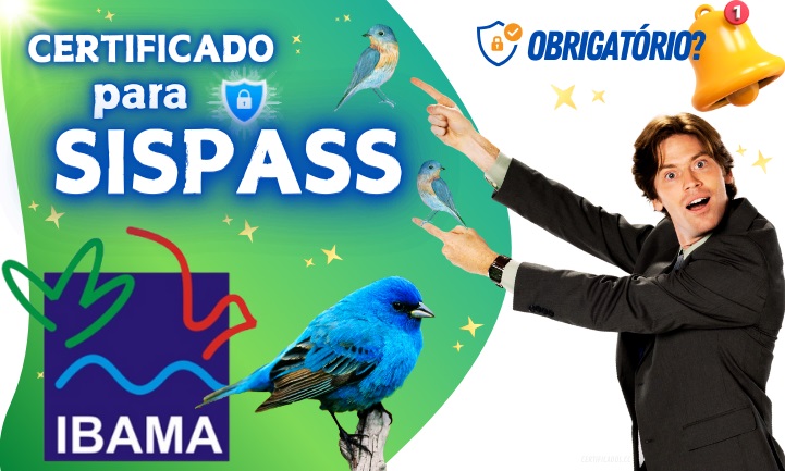 comprar certificado digital sispass para criar de passaros